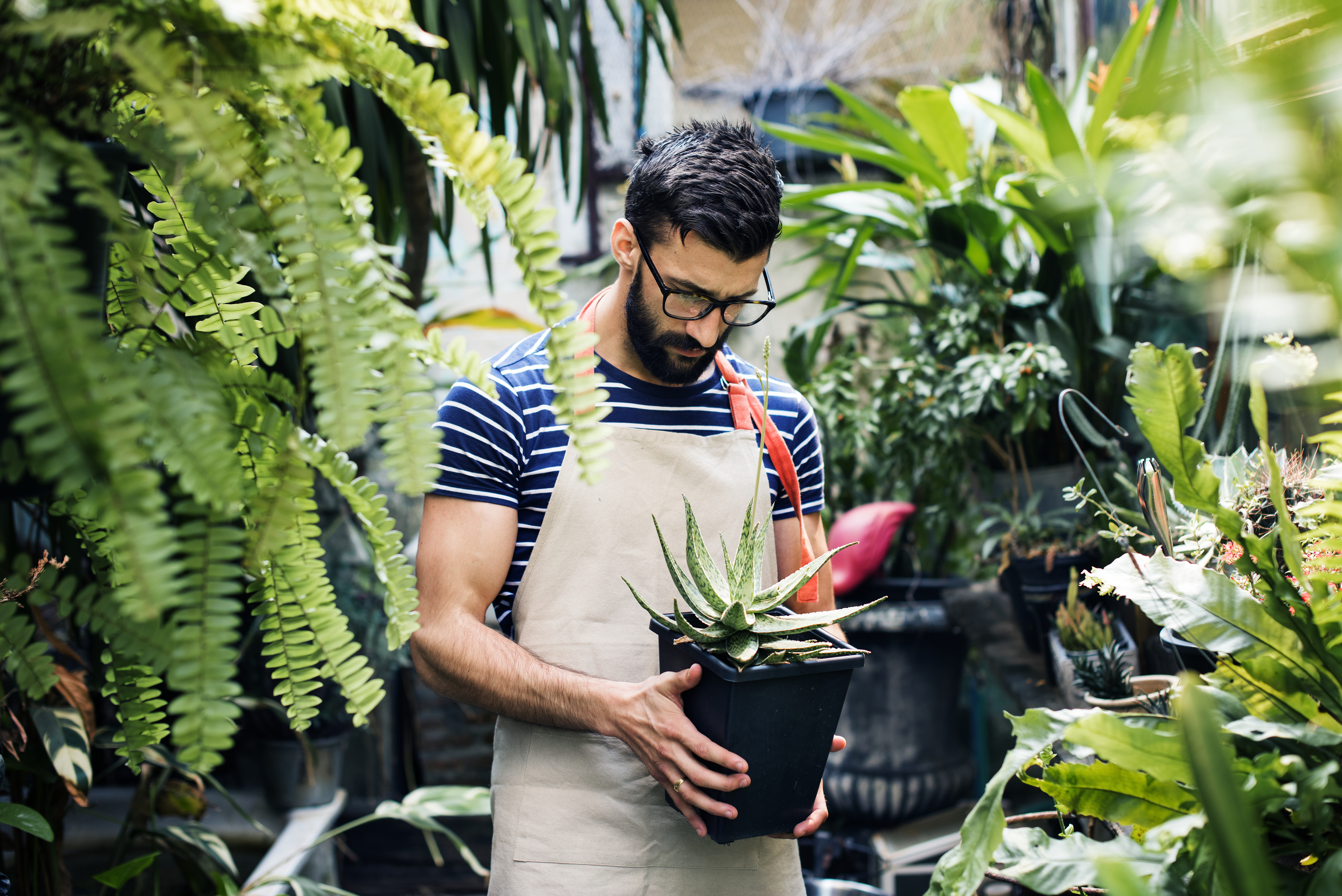 man staring down at plant he is holding