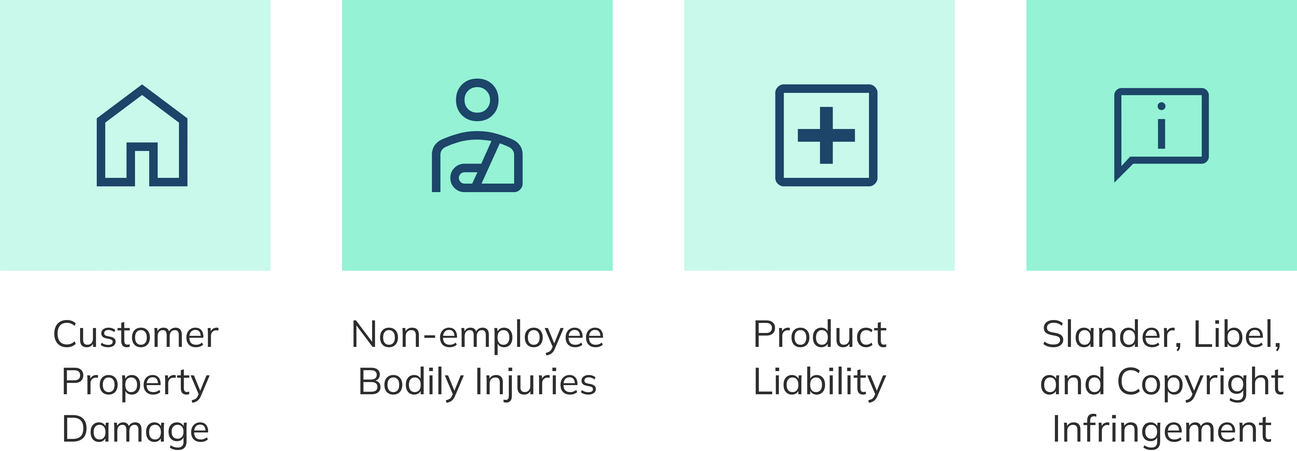 Customer Property Damage, Non-employee Bodily Injury, Product Liability, Slander, Libel, and Copyright Infringement