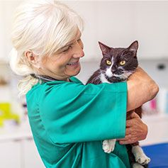 Veterinarian holding a cat