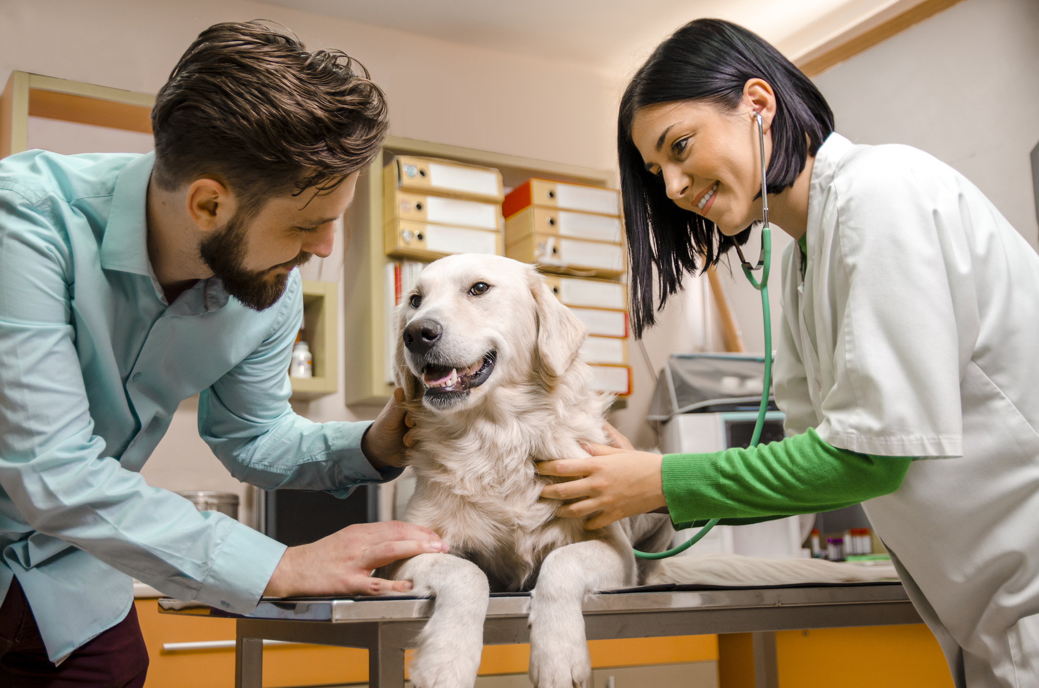 Man comforting his dog on vet table , cute nurse/ doctor examining the dog
